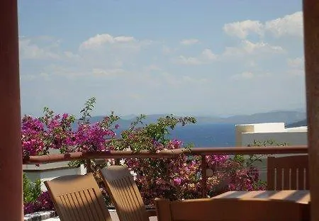 Life Villa
